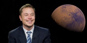Elon Musk, digital discourse