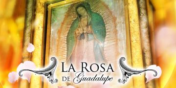 La Rosa de Guadalupe is a Mexican TV program