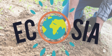 Ecosia: The Rising Power of the Green Search Engine