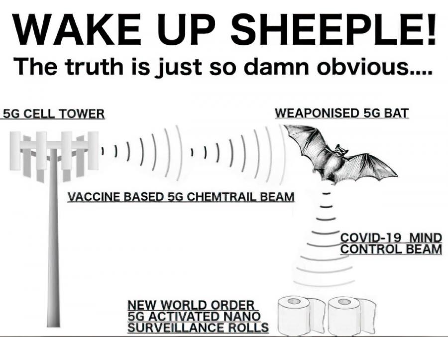 In)visibility as Evidence in 5G Conspiracy Memes