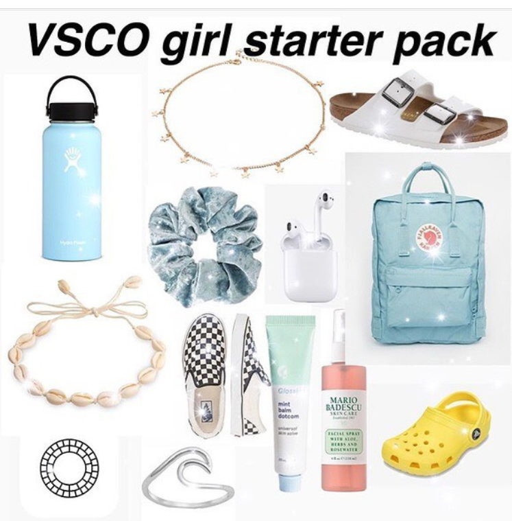 a picture of a vsco girl