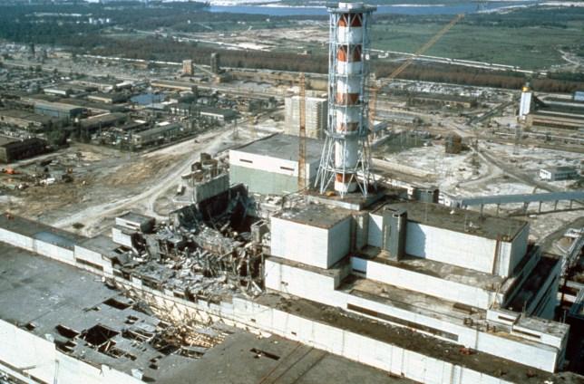voices from chernobyl essay